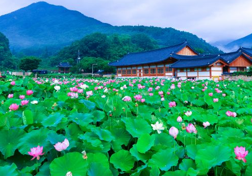송광사 