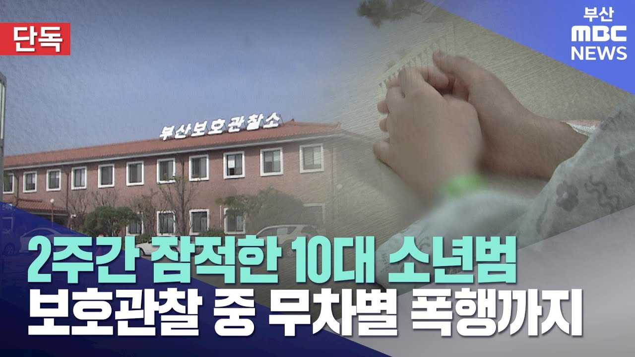 보호관찰 중 10대, '데이트 폭행 생중계' 사건의 충격…제도 허점은?