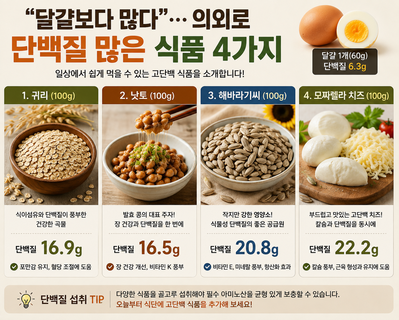 달걀보다 단백질 많은 식품