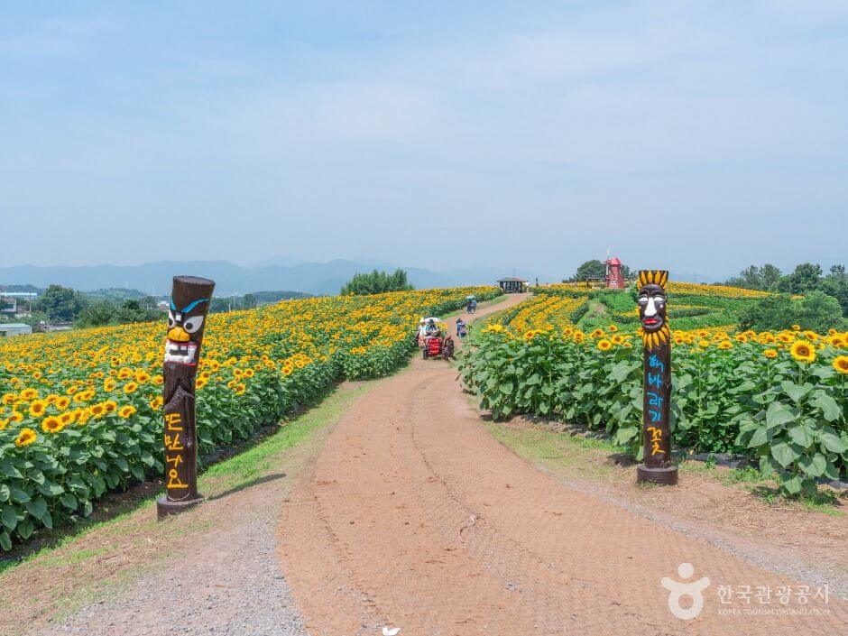함안 가볼만한곳 베스트 10