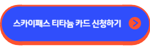 스카이패스 티타늄 카드