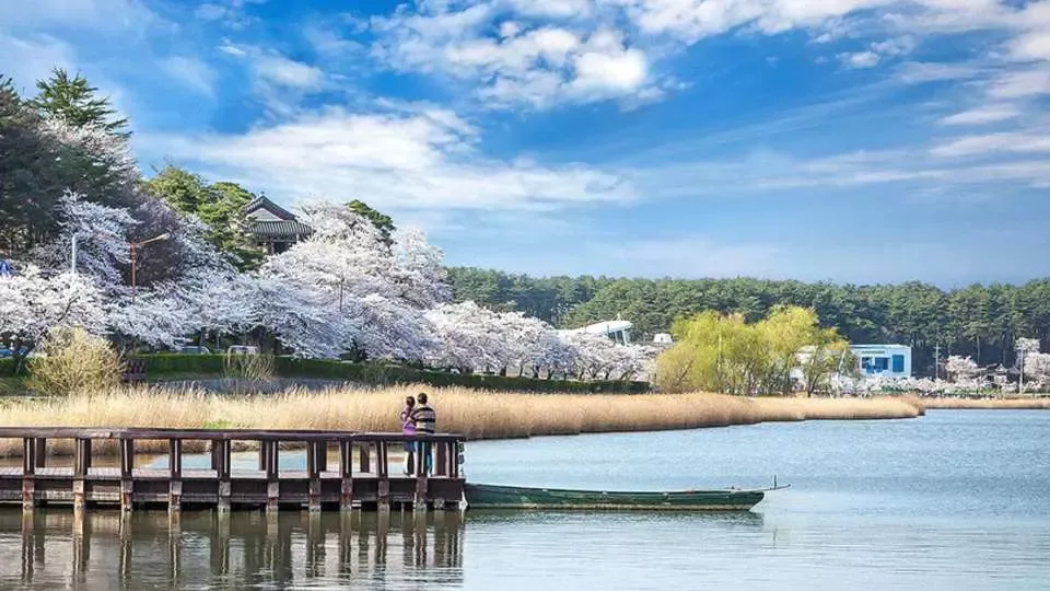 경포대 해수욕장 여름 물놀이 여행지와 맛집 코스 정리_3