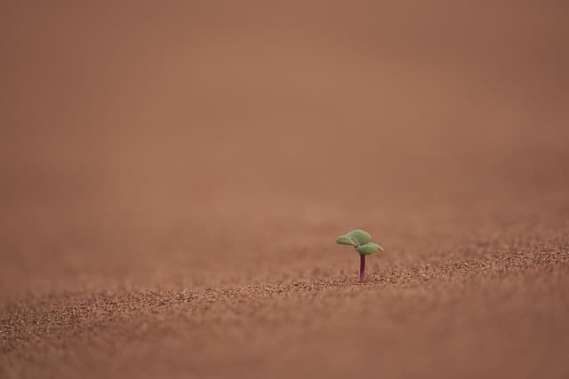 기후변화가 인간 건강에 미치는 영향