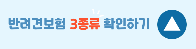 강아지 보험 비교 설명 이미지