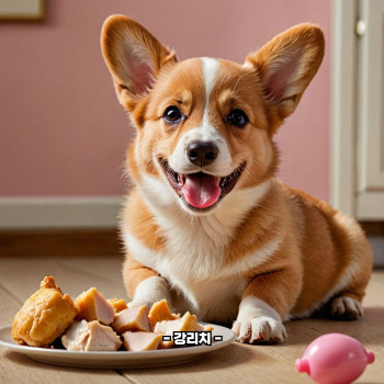 강아지 닭가슴살 효능