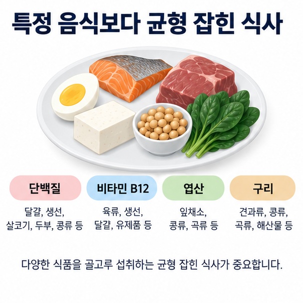 단백질, 비타민 B12, 엽산, 구리 등 균형 잡힌 영양 섭취를 표현한 이미지