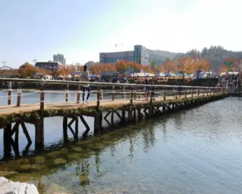 청송 사과축제_33