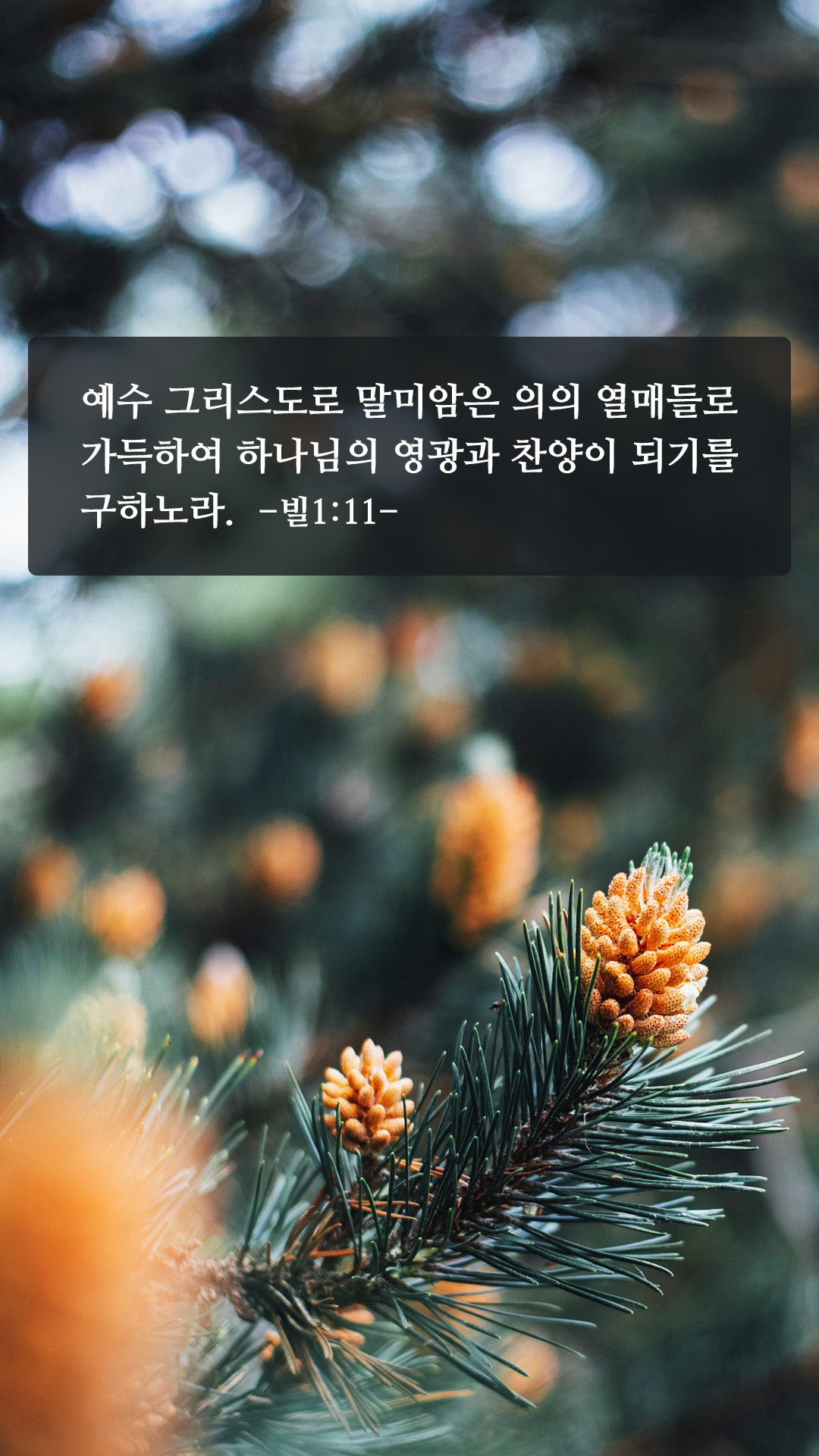 좋은 성경구절
