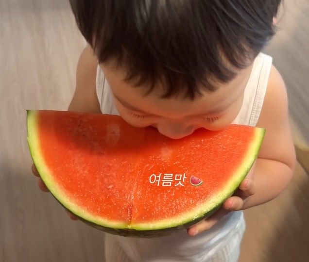 태요미네 태하
