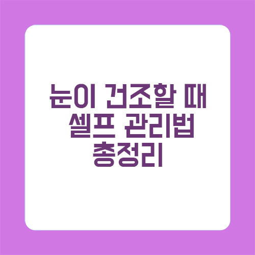 눈이 건조할 때 셀프 관리법 총정리