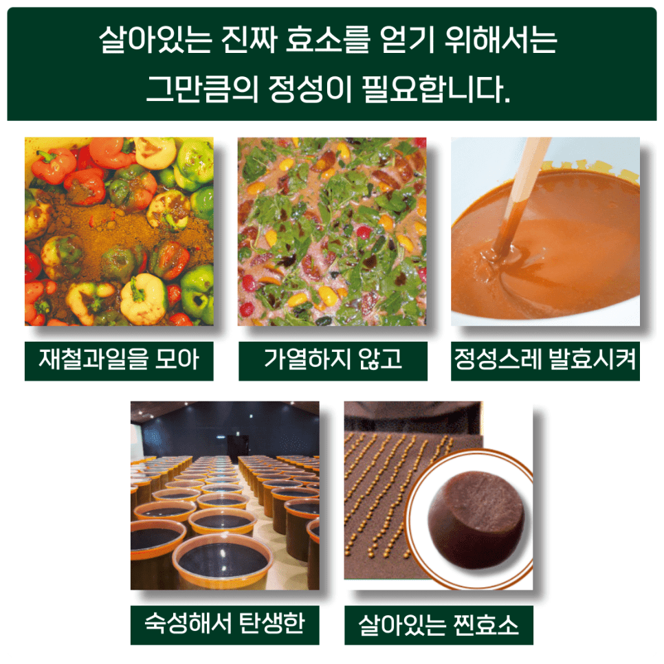 발효효소