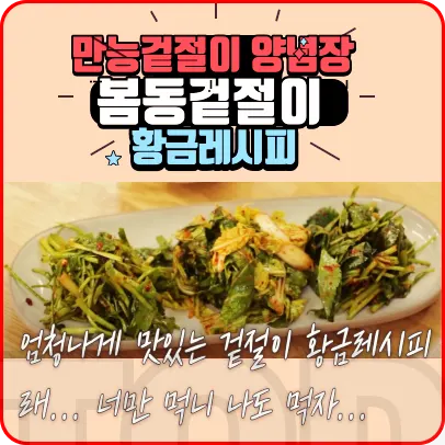 봄동겉절이 황금레시피