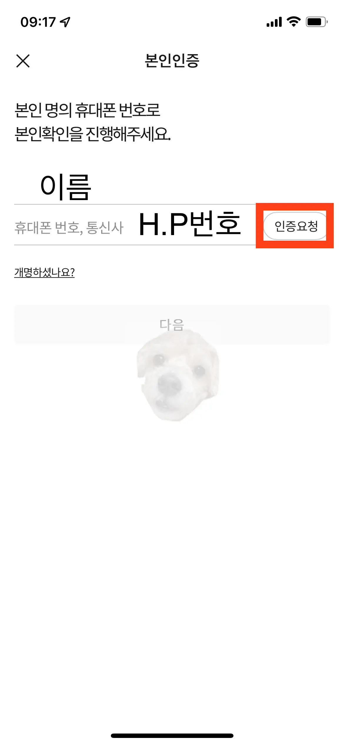 카카오 휴대폰 본인 인증 사진