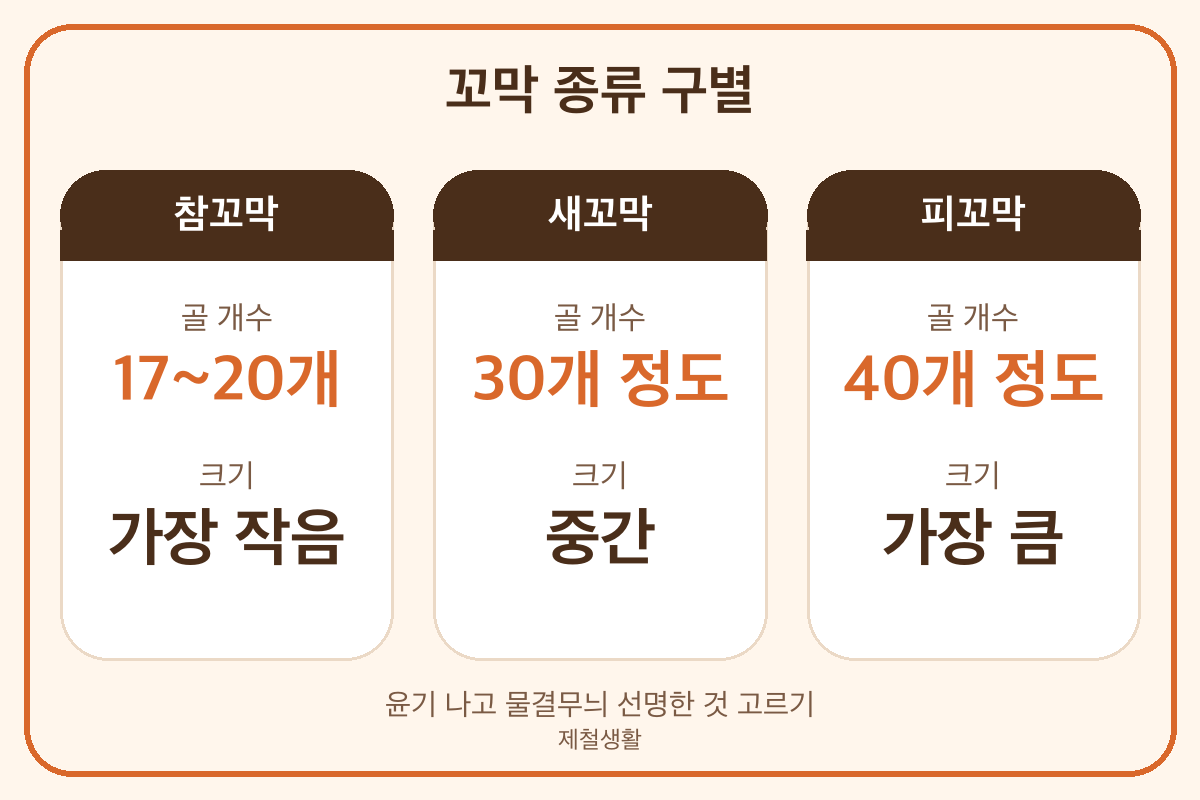 참꼬막 새꼬막 피꼬막 구별 껍데기 골 개수 크기