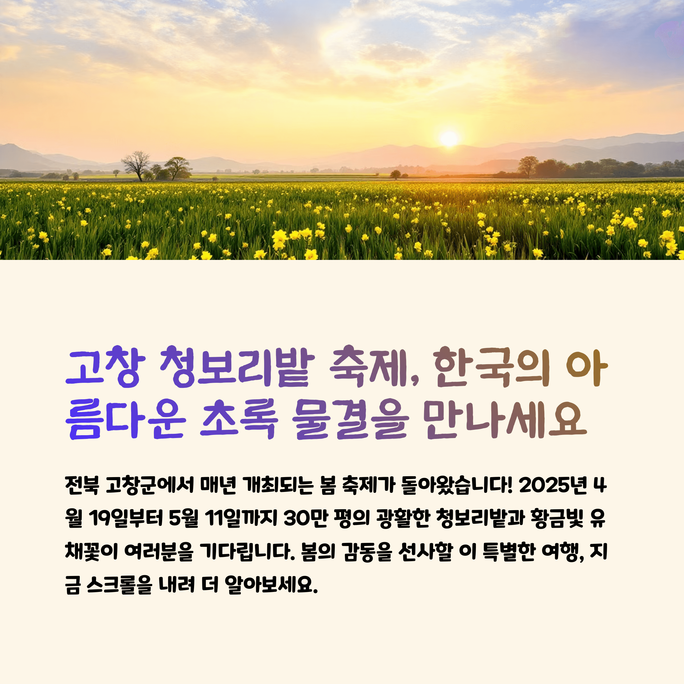 고창 청보리밭 축제