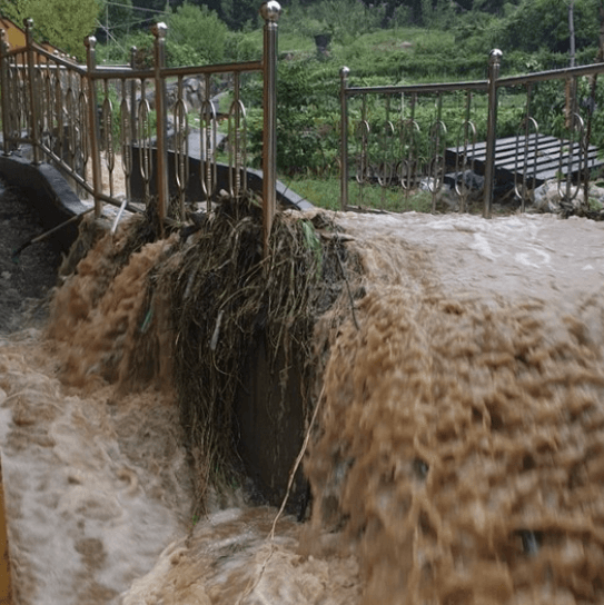 집중호우 (폭우) 피해 재난지원금