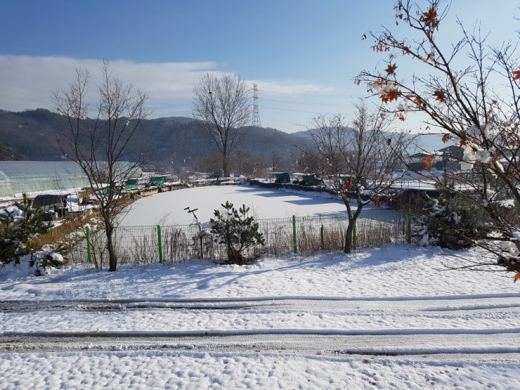 진천 아빠캠핑가 오토캠핑장