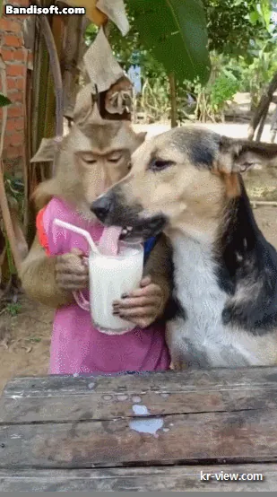 img.webp?credential=yqXZFxpELC7KVnFOS48ylbz2pIh7yKj8&expires=1767193199&allow_ip=&allow_referer=&signature=zx%2FVKwd9rmNoy95leEhhQG6wv3Q%3D