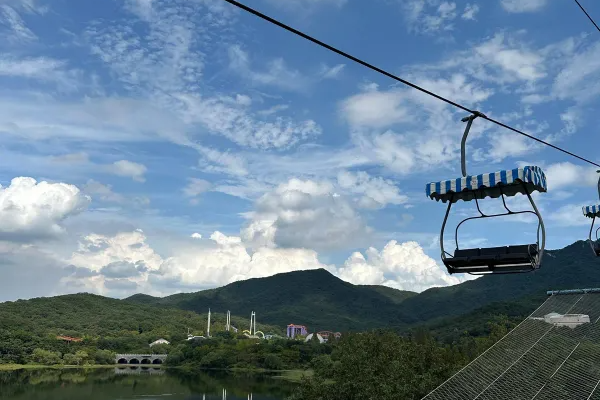 2025년 서울 벚꽃 명소 추천 (여의도 제외) 