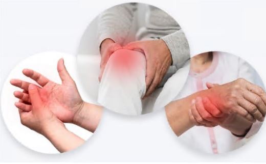 콘드로이친-1200mg-효능