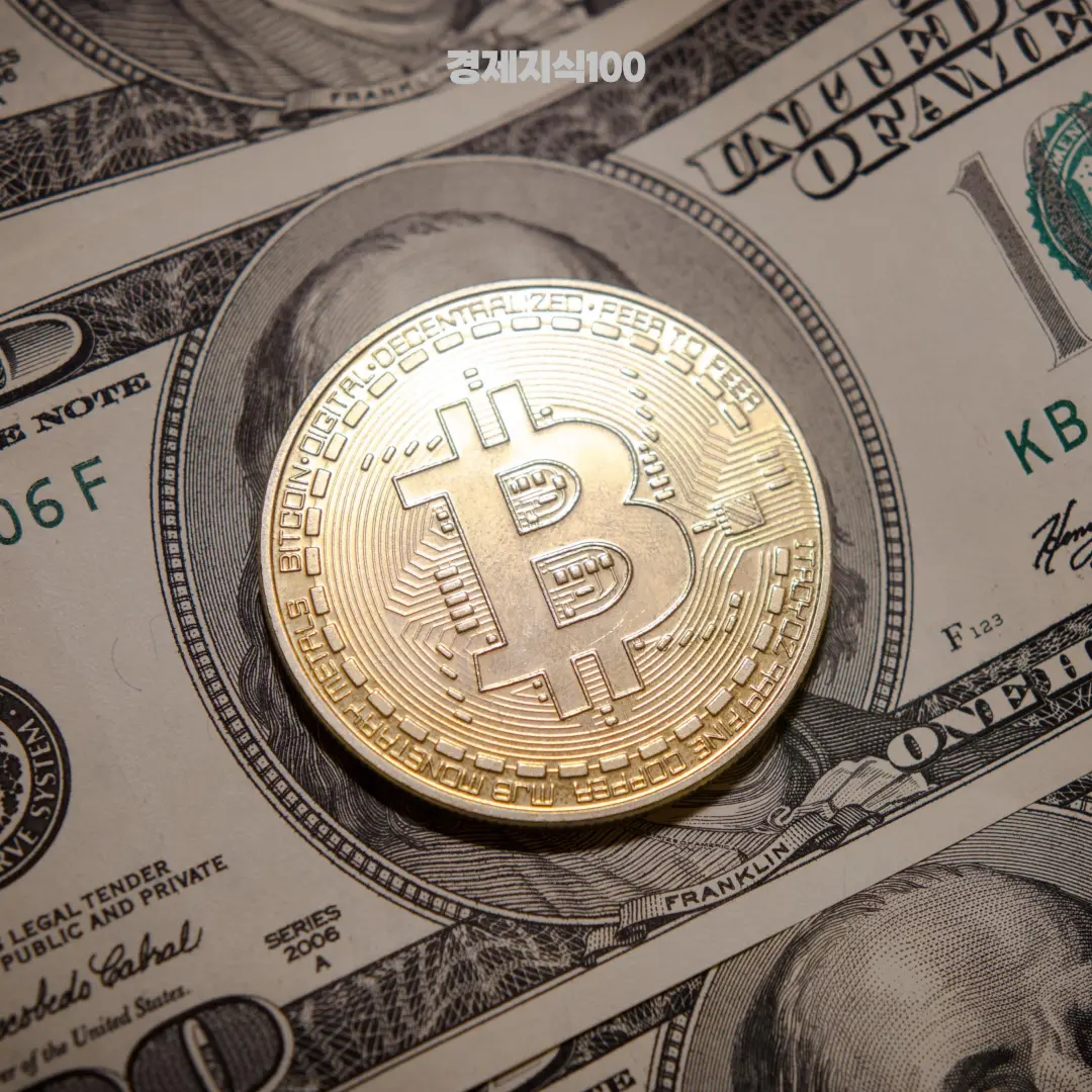 애니메코인 관련 이미지4