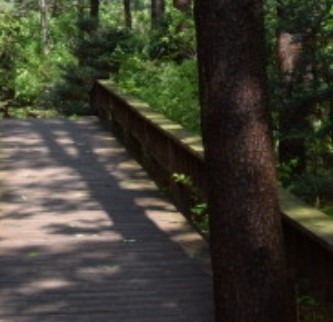 숲나들e 국립 산음 자연휴양림 국내 여행지 추천 관련사진