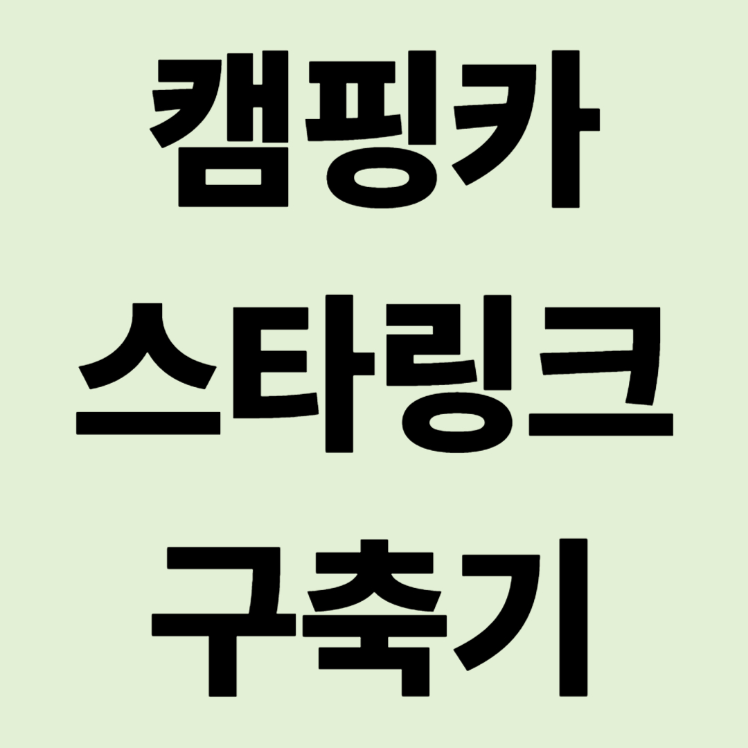 "산속에서도 넷플릭스가 안 끊겨요" 캠핑카 스타링크 구축기