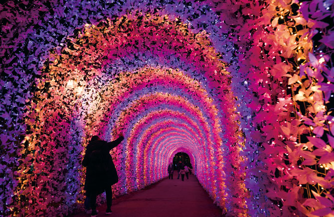 아침고요수목원2