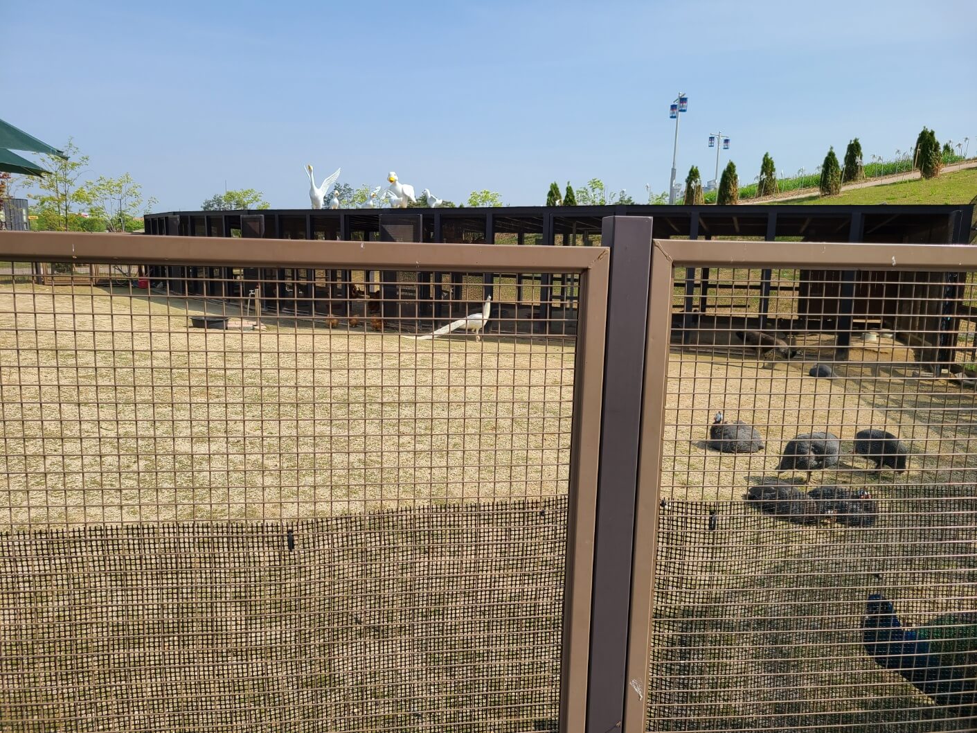 조류 사육장