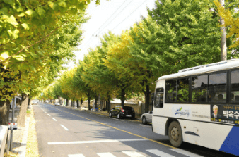 2025 천안시내버스 방학기간 운행 변경 (91번, 92번, 93번, 94번, 95번, 97번, 98번, 99번, 166번, 590번)