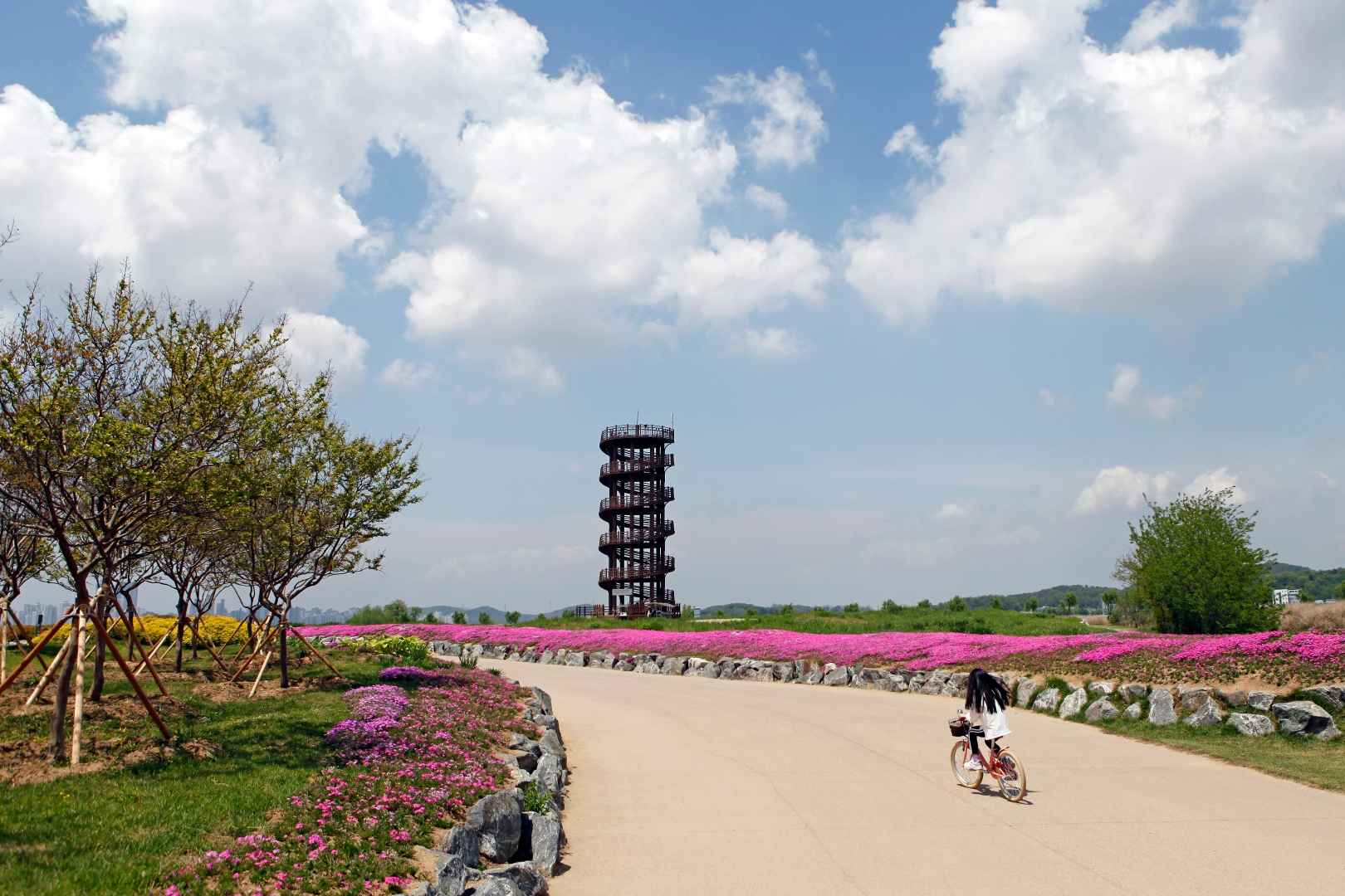 시흥 거북섬 웨이브파크