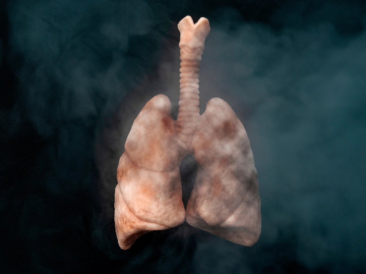 니코틴, 흡연 영향