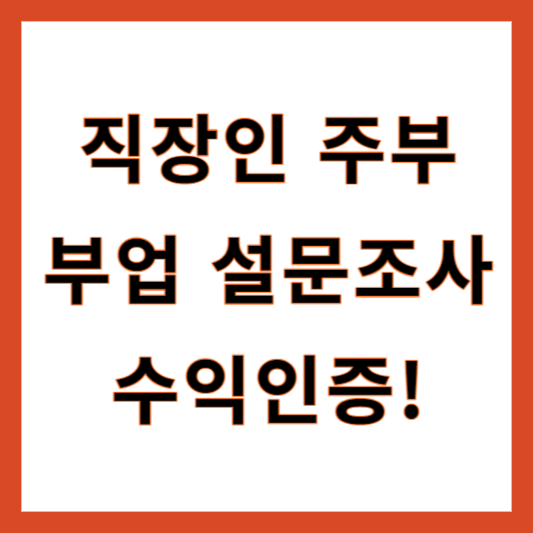 부업 수익인증