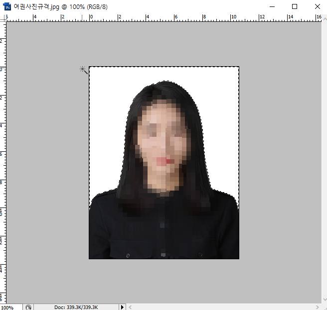 여권 사진 규격 맞추기