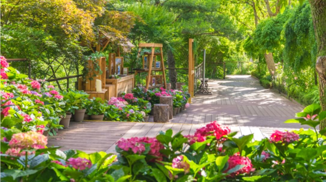 2024년 화담숲 여름 수국 축제 정보