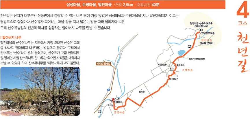 구례 산수유 길 코스