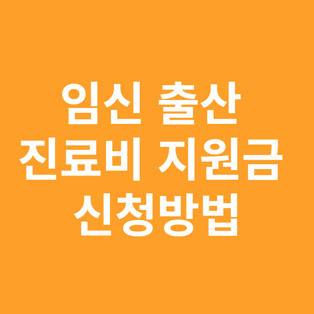 임신 출산 진료비 지원금