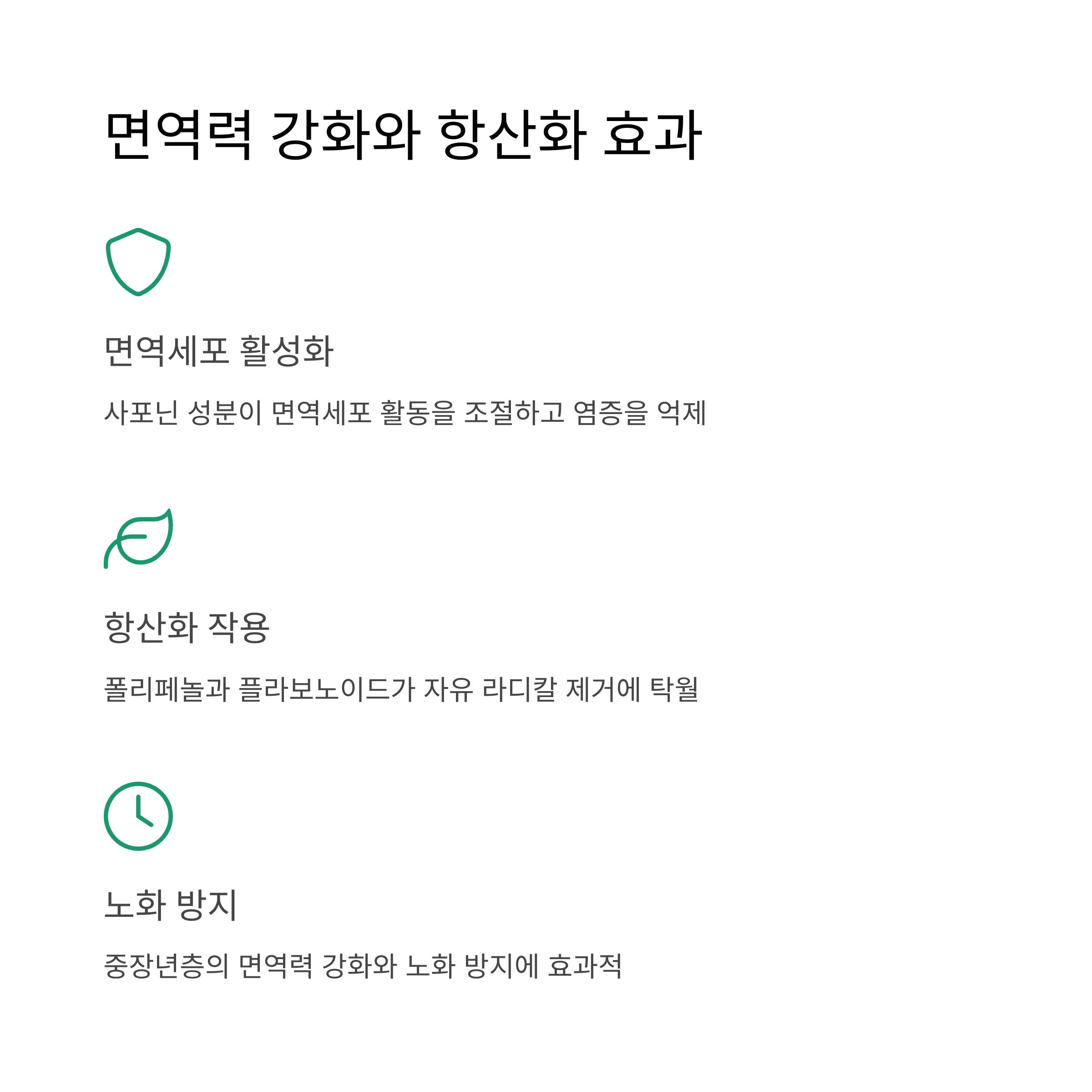 면역력 강화와 항산화 효과