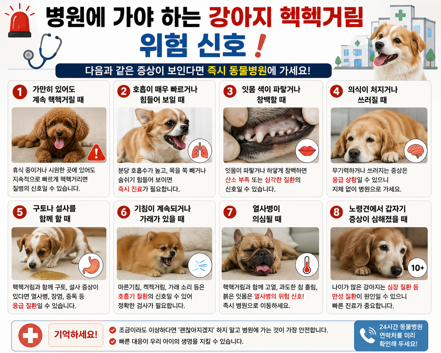 강아지 헥헥거림 위험 신호와 동물병원 진료 기준 이미지