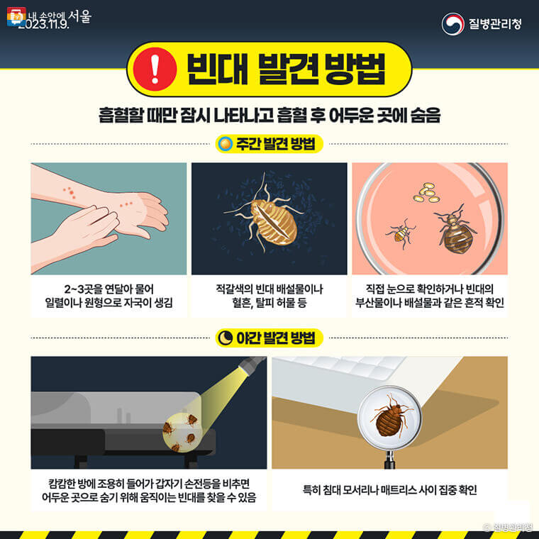 빈대 빈대믹 Q&A 13가지 두려움 해소!!