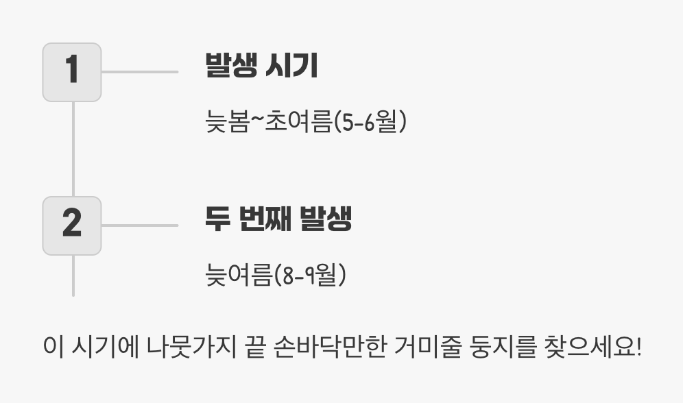 3. 골든타임, 초기 발견이 전부입니다