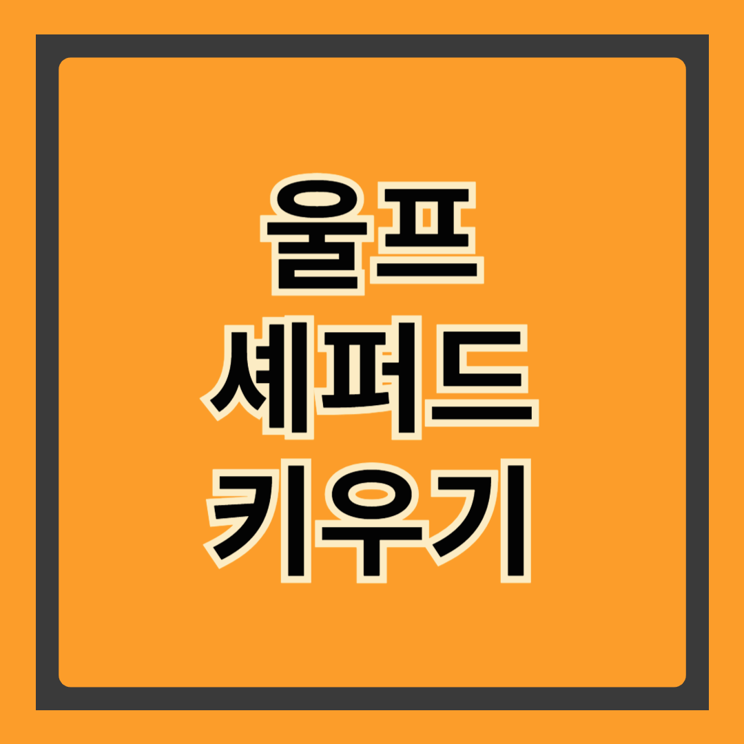 🐺 울프 셰퍼드 키우기 전에 꼭 알아야 할 7가지 사실