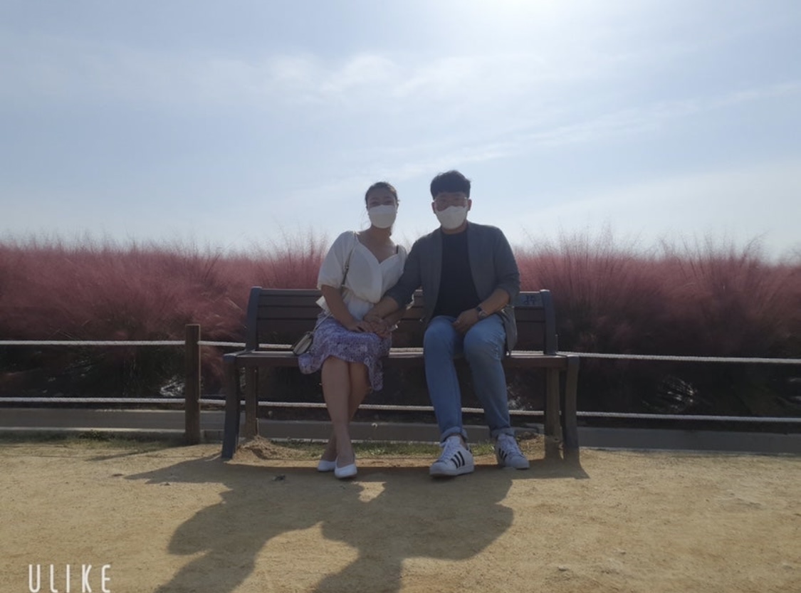 핑크뮬리 앞에 않아 있는 사진(출처:본인)