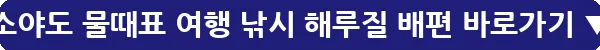 소야도 물때표 여행 낚시 해루질 배편_23