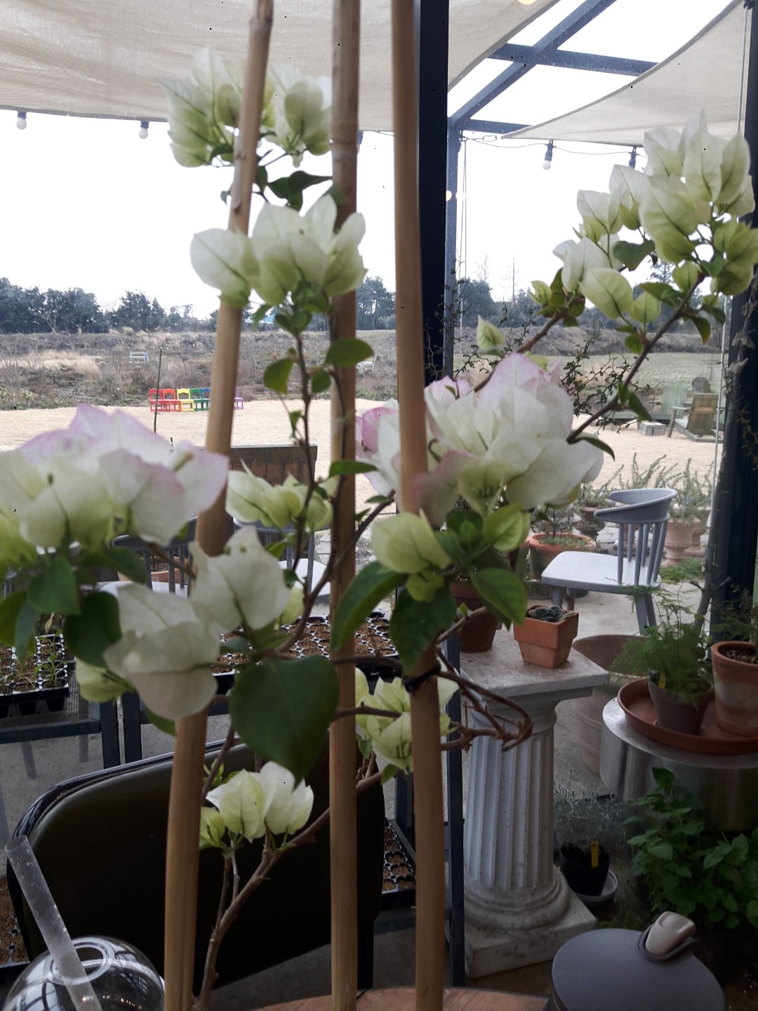 청년내일채움공제 신청 조건 총정리 - 2년 만에 1&amp;#44;200만 원 만드는 법 관련사진