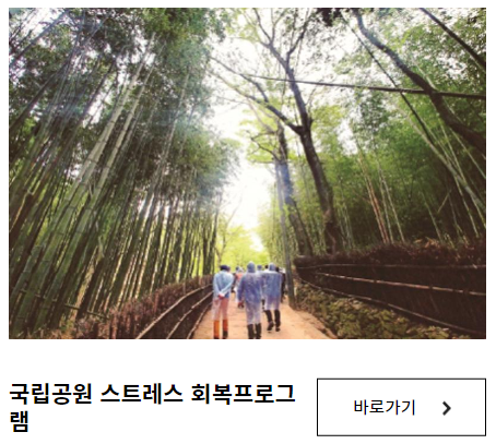 체험