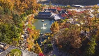 화담숲 입장료 할인 받는 법부터 예매 꿀팁까지는 총정리_4