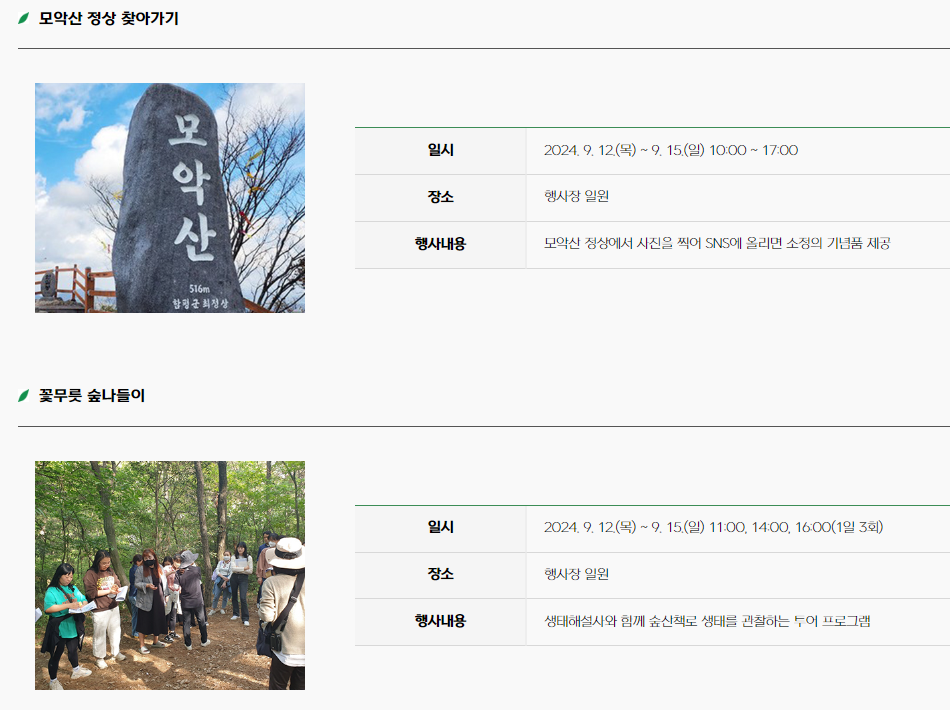 체험 프로그램