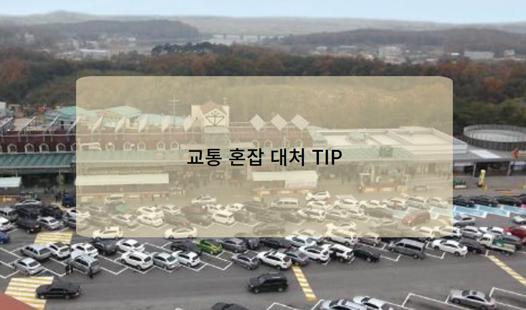 설날 고속도로 교통 혼잡 대처 TIP