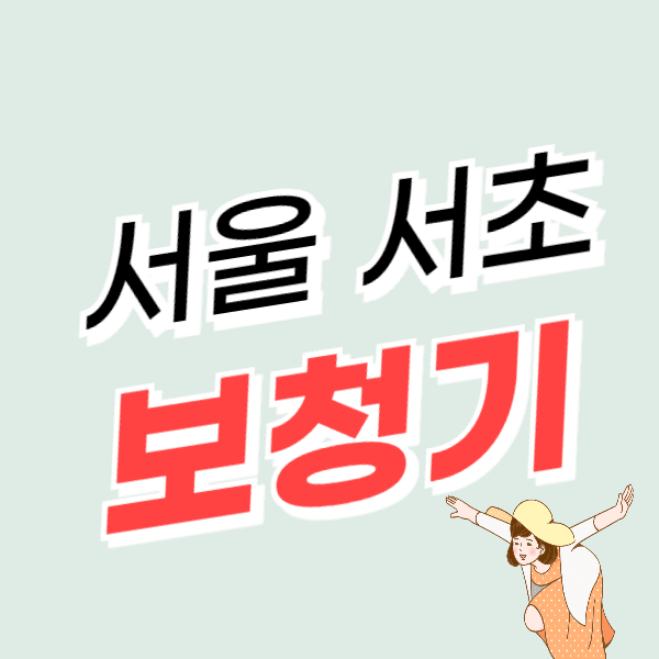 서울 서초구 보청기 가격 싼 곳 잘하는 센터 추천 지원금/할인